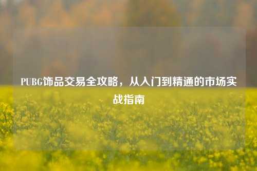 PUBG饰品交易全攻略，从入门到精通的市场实战指南