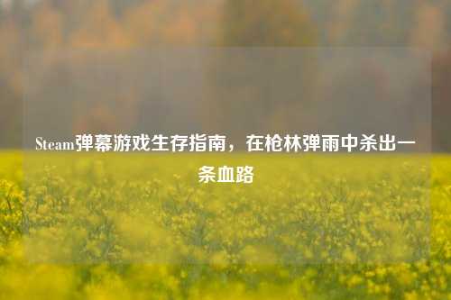 Steam弹幕游戏生存指南，在枪林弹雨中杀出一条血路