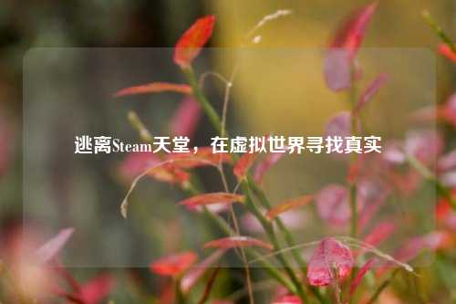 逃离Steam天堂，在虚拟世界寻找真实