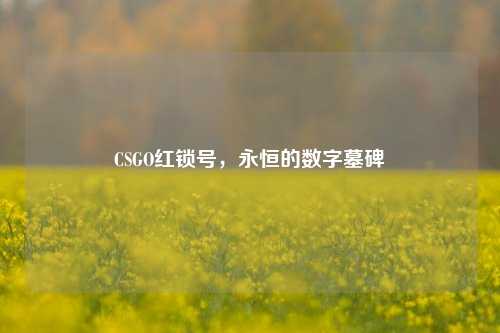 CSGO红锁号，永恒的数字墓碑