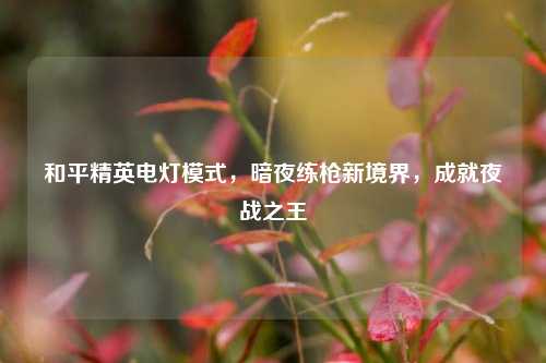 和平精英电灯模式，暗夜练枪新境界，成就夜战之王