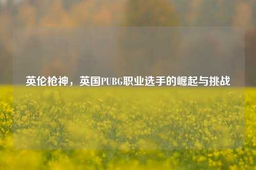 英伦枪神，英国PUBG职业选手的崛起与挑战