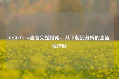 CSGO Demo查看完整指南，从下载到分析的全流程详解