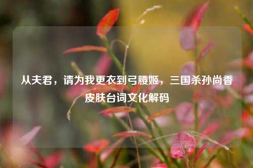 从夫君，请为我更衣到弓腰姬，三国杀孙尚香皮肤台词文化解码