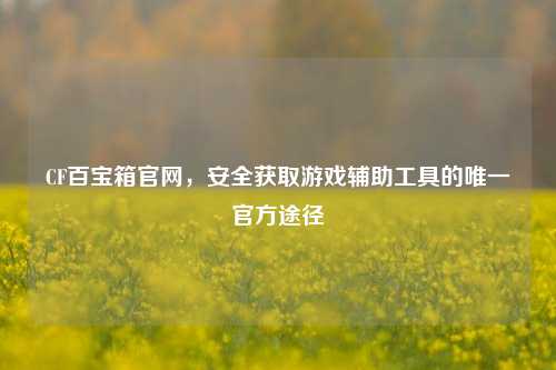 CF百宝箱官网，安全获取游戏辅助工具的唯一官方途径