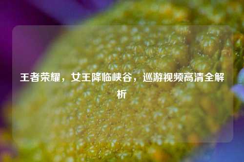 王者荣耀，女王降临峡谷，巡游视频高清全解析
