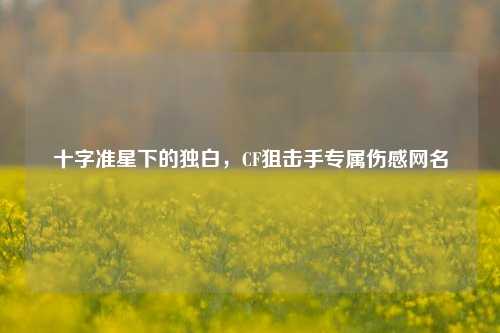 十字准星下的独白，CF狙击手专属伤感网名