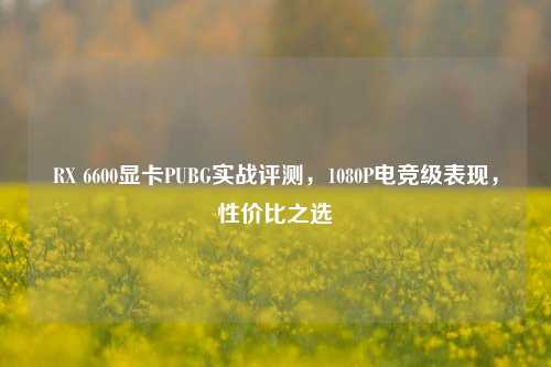 RX 6600显卡PUBG实战评测，1080P电竞级表现，性价比之选