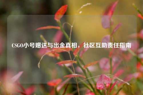CSGO小号赠送与出金真相，社区互助责任指南