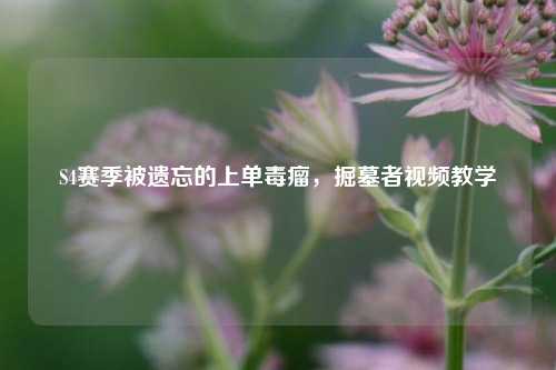 S4赛季被遗忘的上单毒瘤，掘墓者视频教学