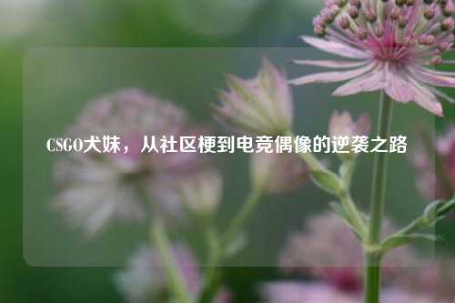 CSGO犬妹，从社区梗到电竞偶像的逆袭之路