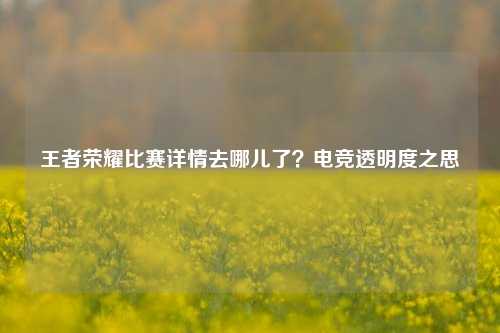 王者荣耀比赛详情去哪儿了？电竞透明度之思