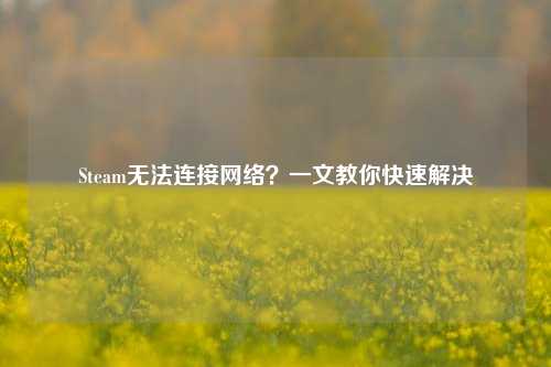 Steam无法连接 *** ？一文教你快速解决