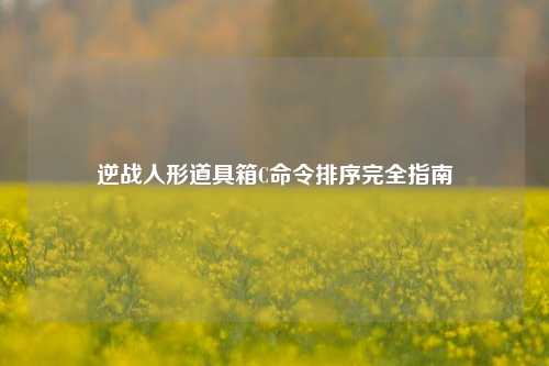 逆战人形道具箱C命令排序完全指南