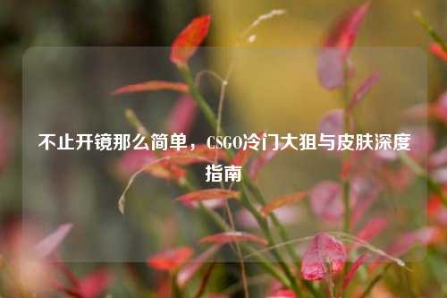 不止开镜那么简单，CSGO冷门大狙与皮肤深度指南