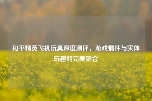 和平精英飞机玩具深度测评，游戏情怀与实体玩趣的完美融合
