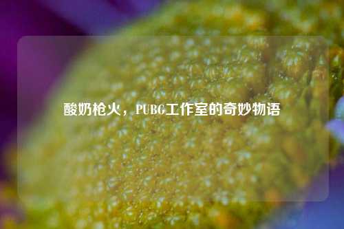酸奶枪火，PUBG工作室的奇妙物语