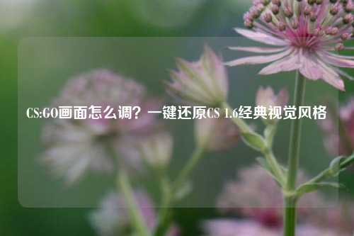 CS:GO画面怎么调？一键还原CS 1.6经典视觉风格