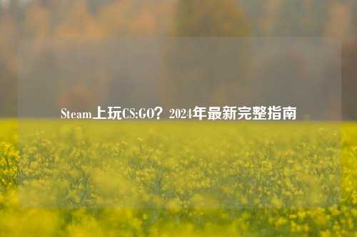 Steam上玩CS:GO？2024年最新完整指南