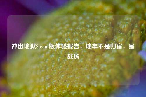 冲出地狱Steam版体验报告，地牢不是归宿，是战场