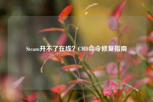 Steam开不了在线？CMD命令修复指南