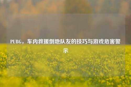 PUBG，车内救援倒地队友的技巧与游戏危害警示