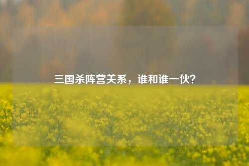 三国杀阵营关系，谁和谁一伙？