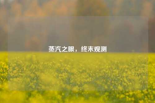 蒸汽之眼，终末观测