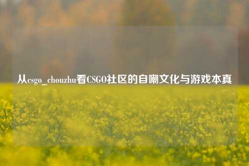 从csgo_chouzhu看CSGO社区的自嘲文化与游戏本真