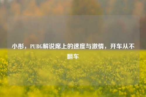 小彤，PUBG解说席上的速度与 *** ，开车从不翻车