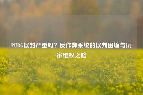 PUBG误封严重吗？反作弊系统的误判困境与玩家 *** 之路