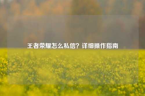 王者荣耀怎么私信？详细操作指南