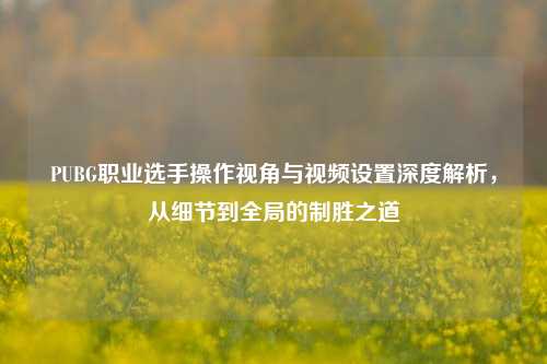 PUBG职业选手操作视角与视频设置深度解析，从细节到全局的制胜之道