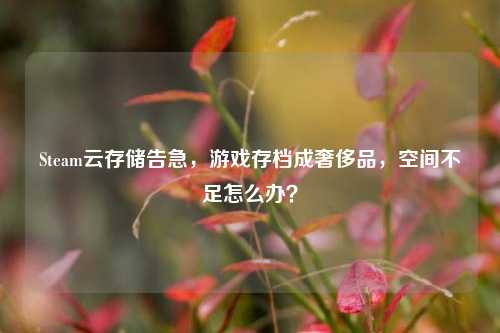 Steam云存储告急，游戏存档成奢侈品，空间不足怎么办？