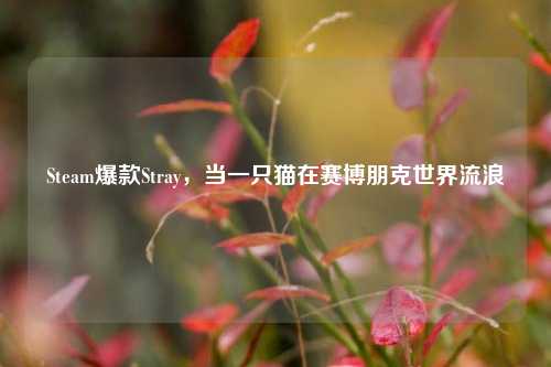 Steam爆款Stray，当一只猫在赛博朋克世界流浪