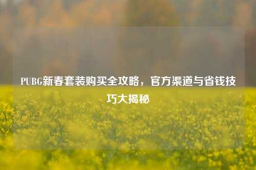 PUBG新春套装购买全攻略，官方渠道与省钱技巧大揭秘