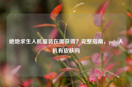 绝地求生人机服装在哪获得？完整指南，pubg人机有皮肤吗