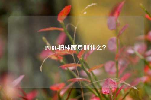 PUBG柏林面具叫什么？