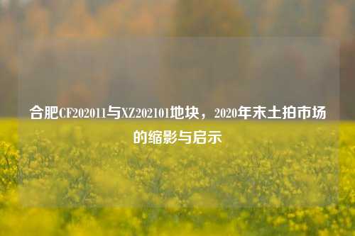 合肥CF202011与XZ202101地块,2020年末土拍市场的缩影与启示