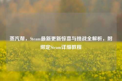 蒸汽帮，Steam最新更新惊喜与挑战全解析，附绑定Steam详细教程
