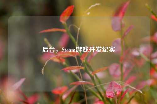 后台,Steam游戏开发纪实