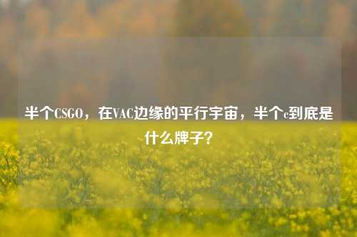 半个CSGO，在VAC边缘的平行宇宙，半个c到底是什么牌子？