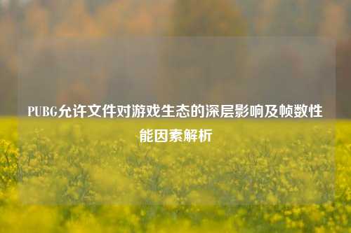 PUBG允许文件对游戏生态的深层影响及帧数性能因素解析