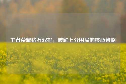 王者荣耀钻石双排,破解上分困局的核心策略
