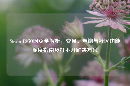 Steam CSGO网页全解析，交易、查询与社区功能深度指南及打不开解决方案