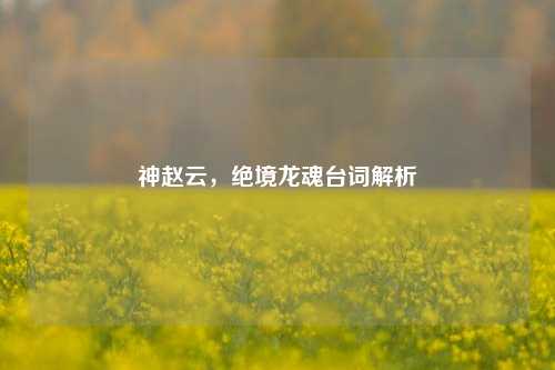 神赵云，绝境龙魂台词解析