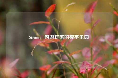 Steam，网游玩家的数字乐园