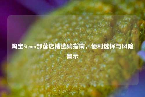  *** Steam部落店铺选购指南，便利选择与风险警示
