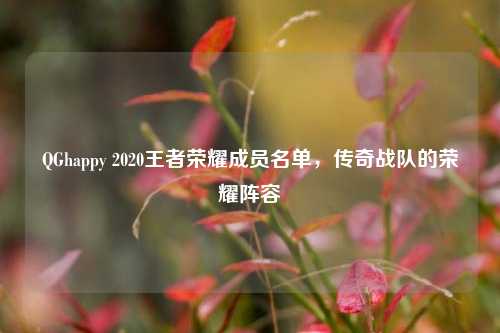 QGhappy 2020王者荣耀成员名单，传奇战队的荣耀阵容