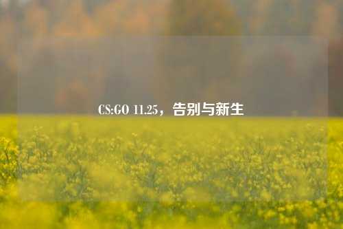 CS:GO 11.25，告别与新生